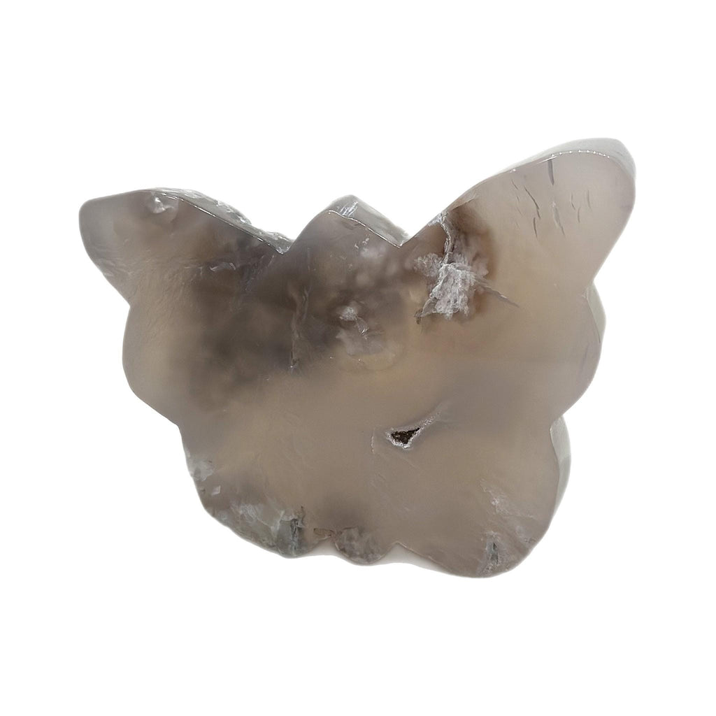 Crystal + Rocks | Polished | Flower Agate Butterfly | 3inch