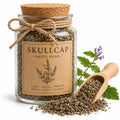 Herb Spell Jar + Spoon | Basil Leaves | Dried, Cut & Sifted | Botanical | 50ML