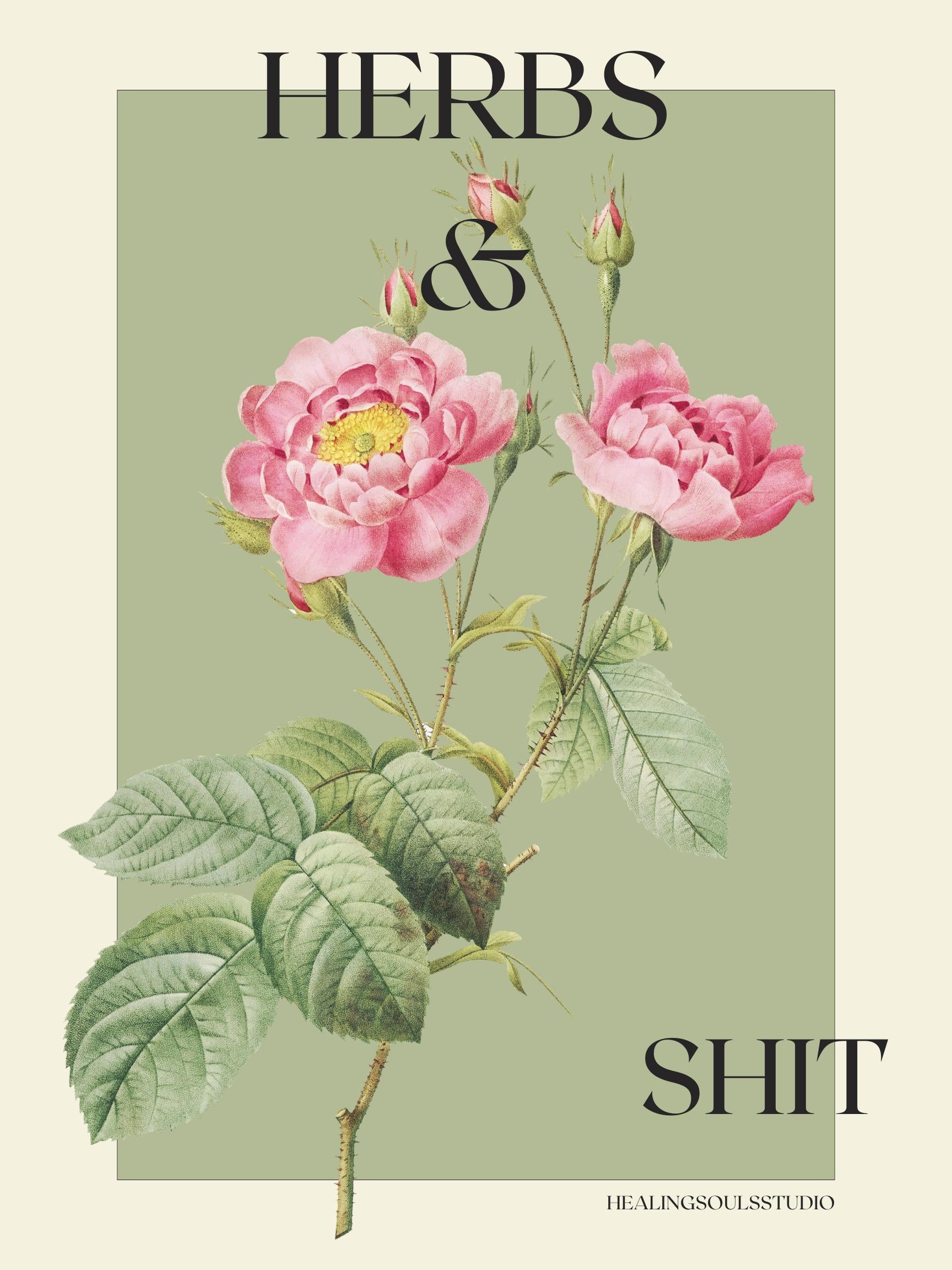 Herbs + Sh*t | Digital Poster | Wall Art Decor | Herb Art | Witchcraft Herbology Healing | Instant Download