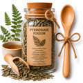 Herb Spell Jar + Spoon | Pyrrosiae Folium | Dried, Cut & Sifted | Pyrrosia Sheareri | 50ML