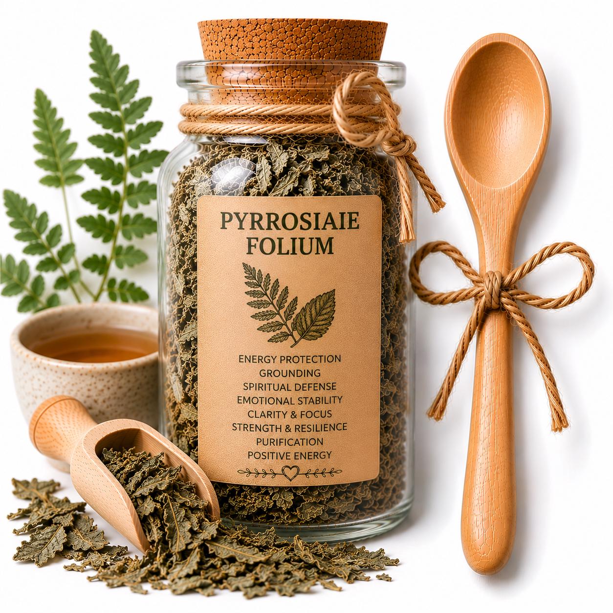 Herb Spell Jar + Spoon | Pyrrosiae Folium | Dried, Cut & Sifted | Pyrrosia Sheareri | 50ML