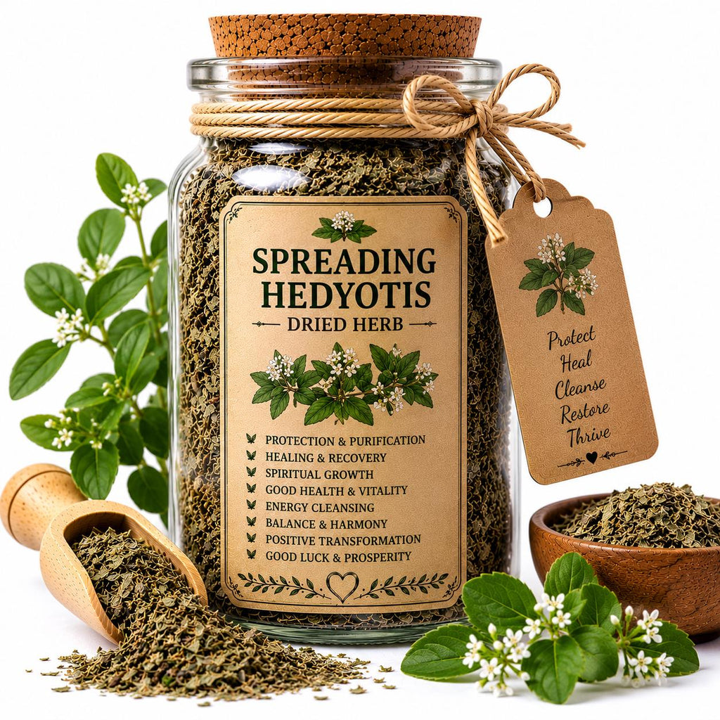 Herb Spell Jar + Spoon | Spreading Hedyotis Herb | Dried, Cut & Sifted | Hedyotis Diffusa | 50ML