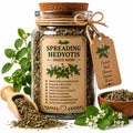 Herb Spell Jar + Spoon | Spreading Hedyotis Herb | Dried, Cut & Sifted | Hedyotis Diffusa | 50ML