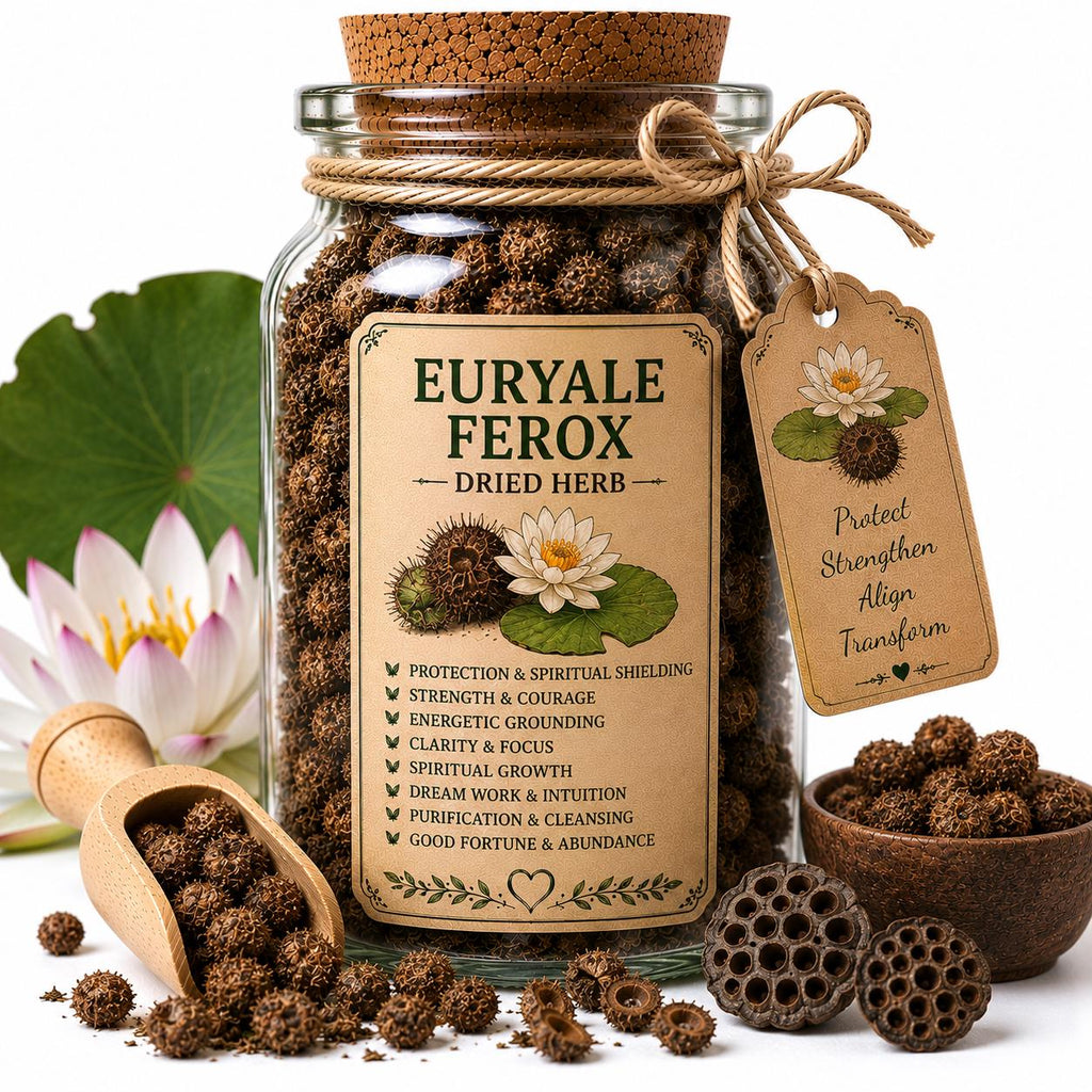 Herb Spell Jar + Spoon | Euryale Ferox | Dried, Cut & Sifted | Euryale Ferox | 50ML