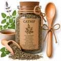 Herb Spell Jar + Spoon | Catnip | Dried, Cut & Sifted | Nepeta Cataria | 50ML