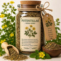 Herb Spell Jar + Spoon | Potentillae | Dried, Cut & Sifted | Potentillae | 50ML
