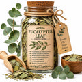Herb Spell Jar + Spoon | Eucalyptus Leaf | Dried, Cut & Sifted | Eucalyptus Globulus | 50ML