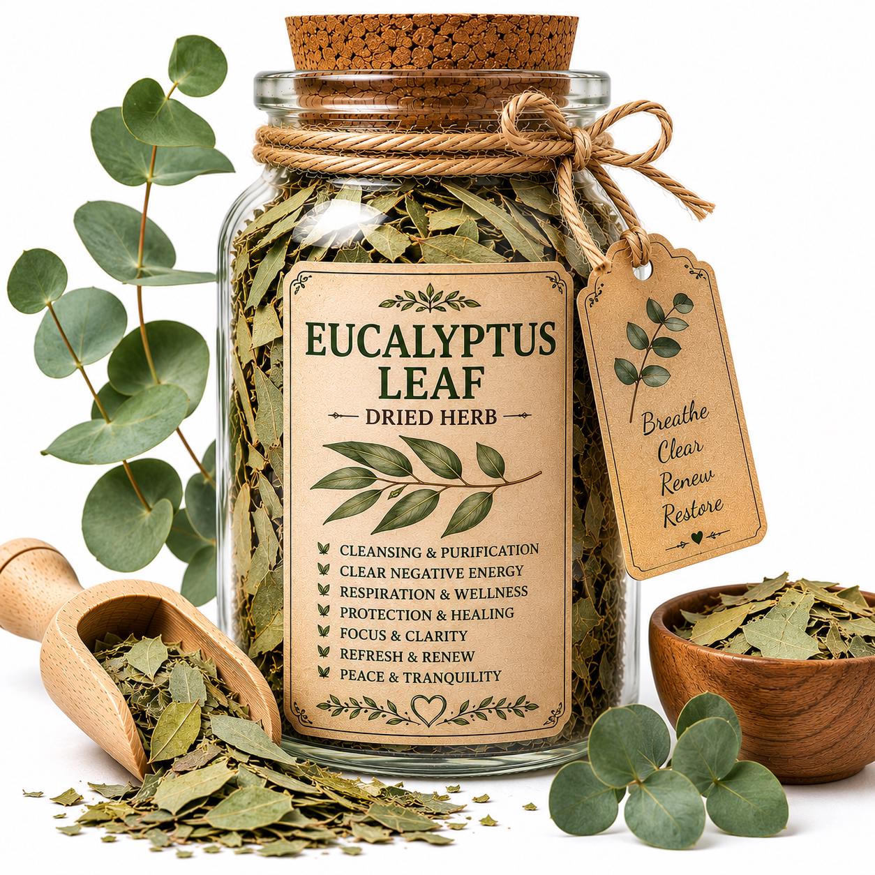 Herb Spell Jar + Spoon | Eucalyptus Leaf | Dried, Cut & Sifted | Eucalyptus Globulus | 50ML