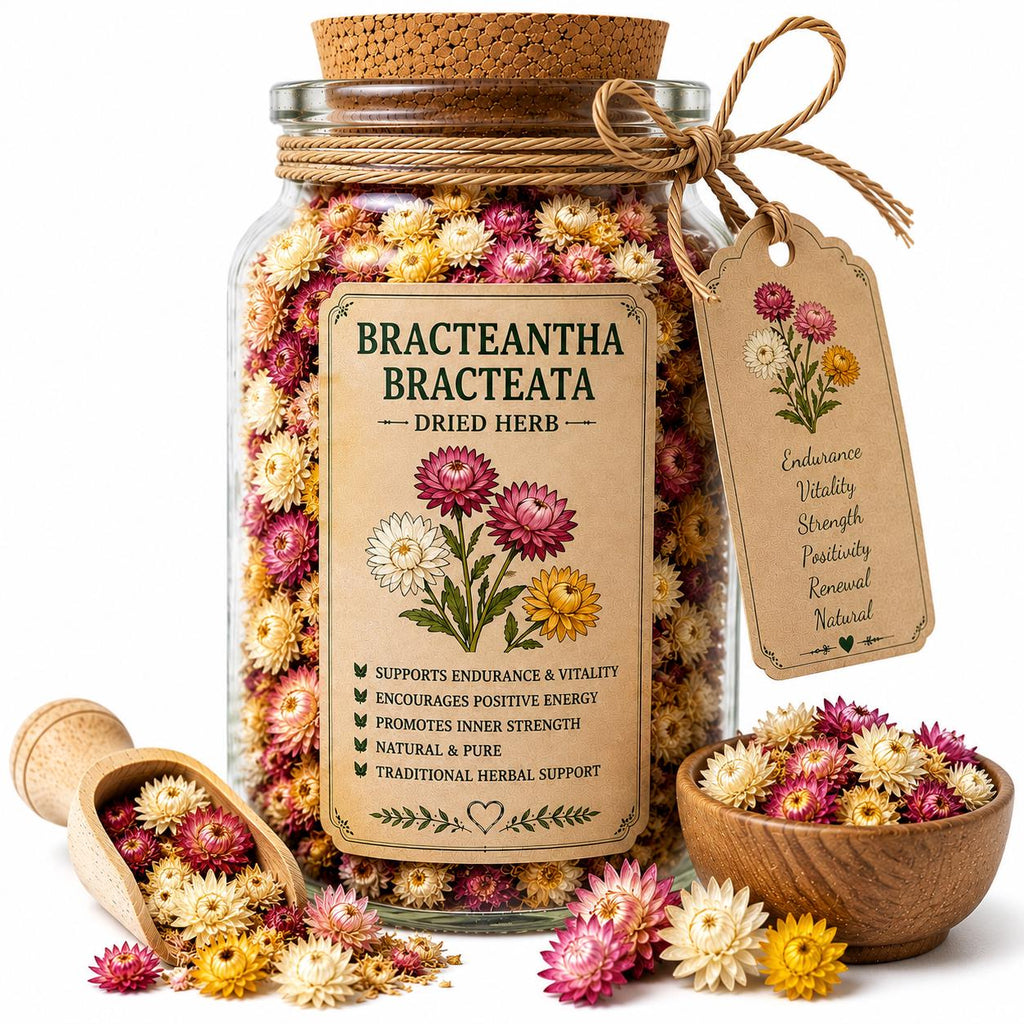 Herb Spell Jar + Spoon | Bracteantha Bracteata | Dried, Cut & Sifted | Bracteantha Bracteata | 50ML