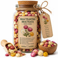 Herb Spell Jar + Spoon | Bracteantha Bracteata | Dried, Cut & Sifted | Bracteantha Bracteata | 50ML