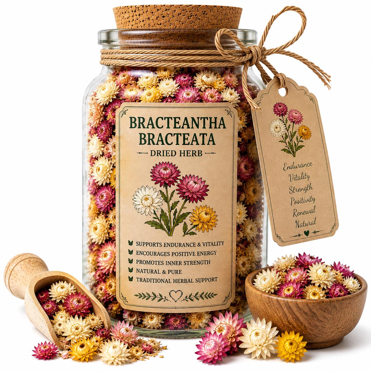 Herb Spell Jar + Spoon | Bracteantha Bracteata | Dried, Cut & Sifted | Bracteantha Bracteata | 50ML