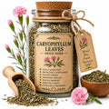 Herb Spell Jar + Spoon | Caryophyllum Leaves | Dried, Cut & Sifted | Dianthus Caryophyllus | 50ML