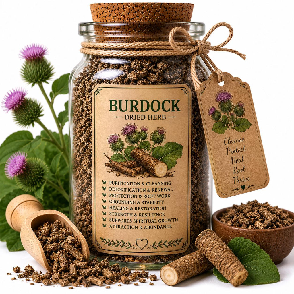 Herb Spell Jar + Spoon | Burdock Root | Dried, Cut & Sifted | Arctium Lappa | 50ML