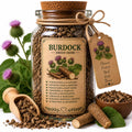 Herb Spell Jar + Spoon | Burdock Root | Dried, Cut & Sifted | Arctium Lappa | 50ML