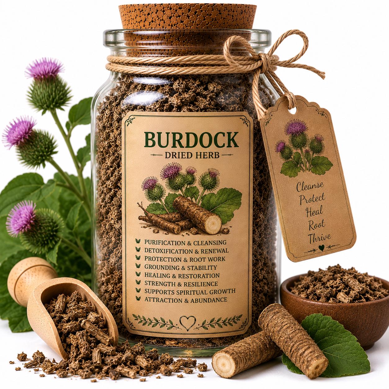 Herb Spell Jar + Spoon | Burdock Root | Dried, Cut & Sifted | Arctium Lappa | 50ML