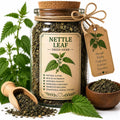 Herb Spell Jar + Spoon | Nettle Leaf | Dried, Cut & Sifted | Urtica Dioica | 50ML
