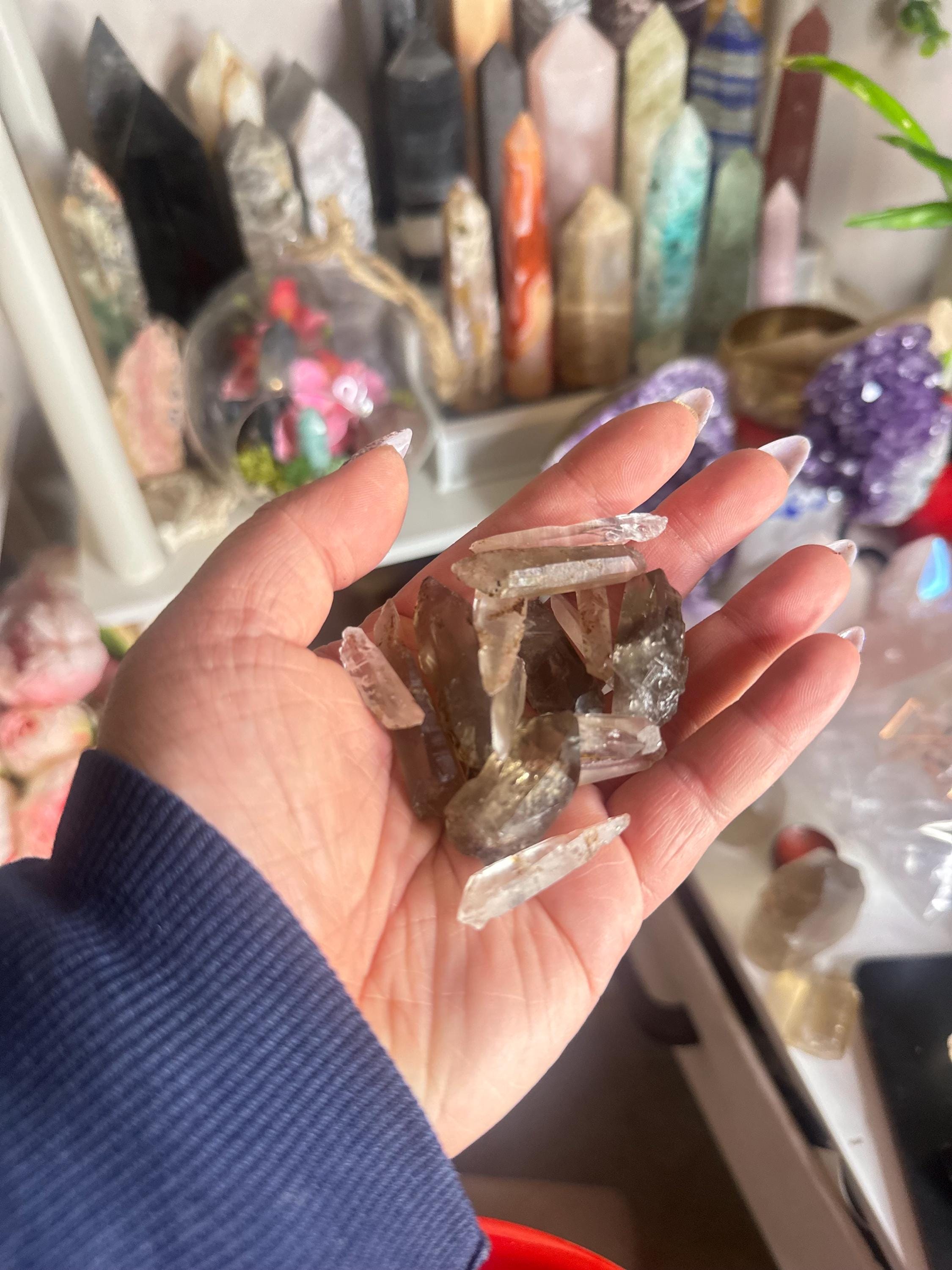 Crystal + Rocks | Choose Your Favorite | Rare Quartz Variety Bowl | Phantom, Garden, Lithium,Lemurian & More