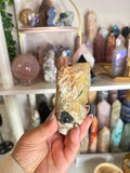 Crystal + Rocks| Raw | Black Tourmaline in Quartz Matrix with Iron | 4.5in