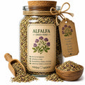 Herb Spell Jar + Spoon | Alfalfa | Dried, Cut & Sifted | Medicago Sativa | 50ML