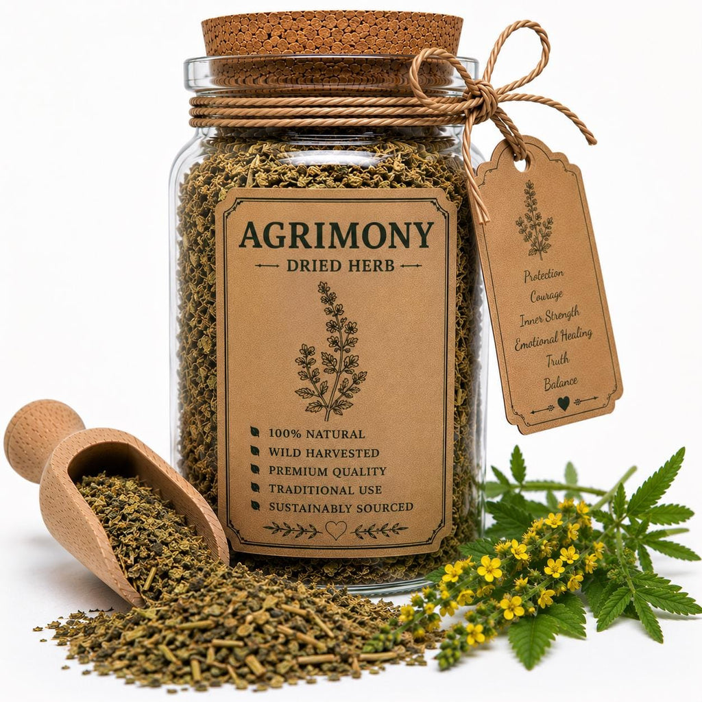 Herb Spell Jar + Spoon | Agrimony | Dried, Cut & Sifted | Agrimonia Eupatoria | 50ML
