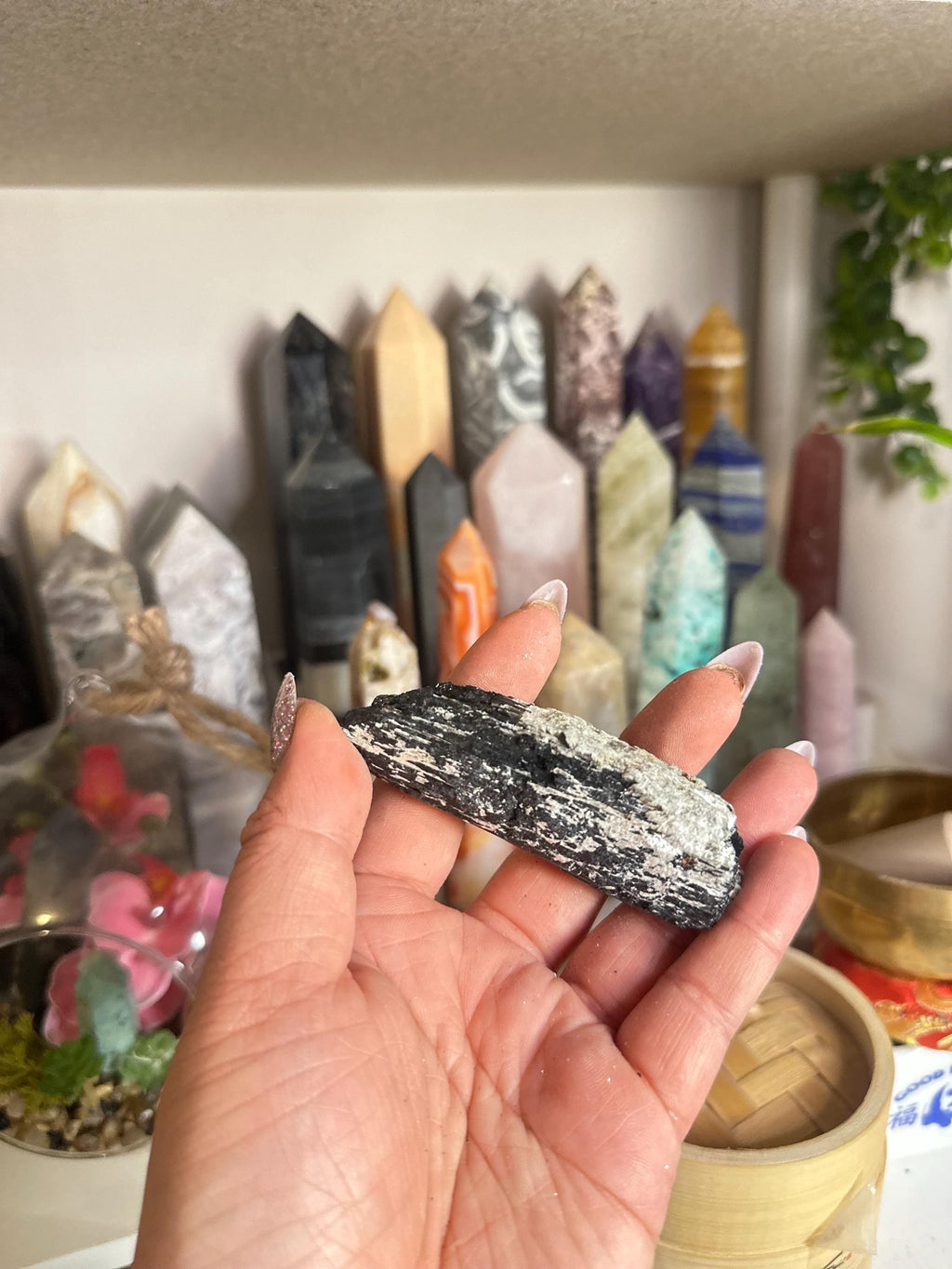 Crystal + Rocks | Stunning | Black Tourmaline in Muscovite Raw Chunks | 2-4in
