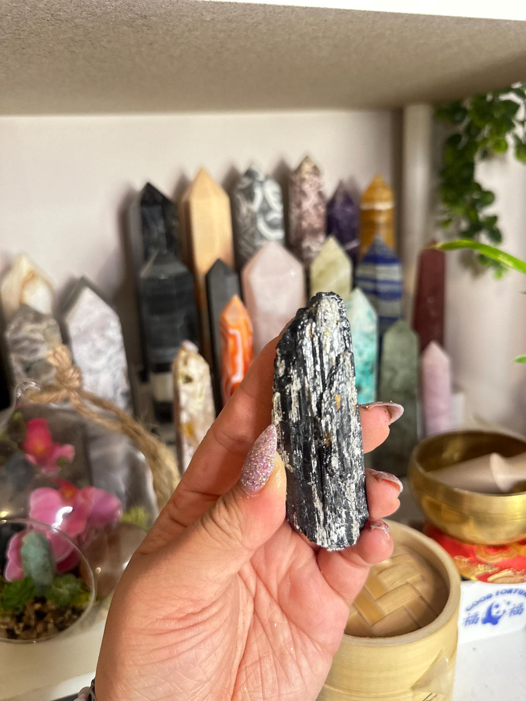 Crystal + Rocks | Stunning | Black Tourmaline in Muscovite Raw Chunks | 2-4in