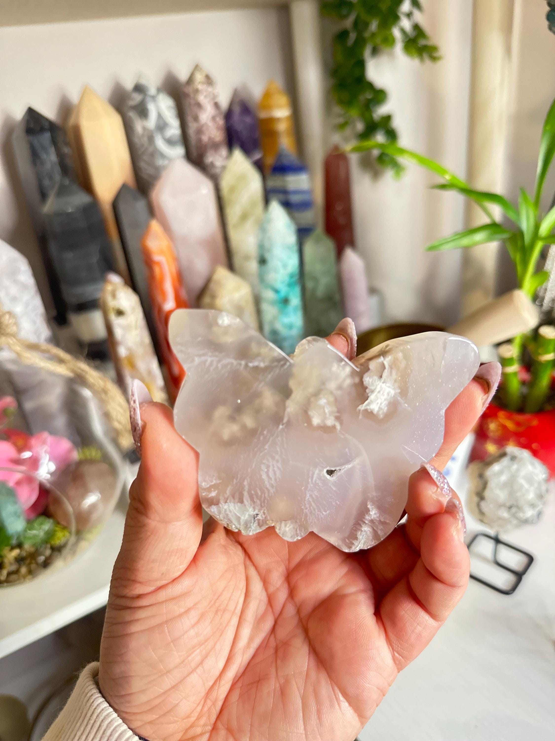 Crystal + Rocks | Polished | Flower Agate Butterfly | 3inch