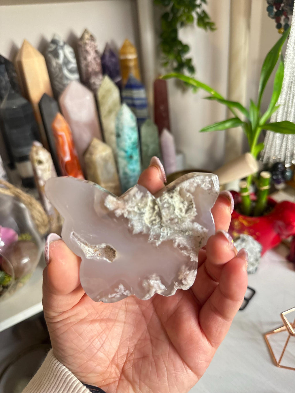 Crystal + Rocks | Polished | Flower Agate Butterfly | 3inch