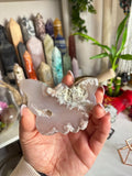 Crystal + Rocks | Polished | Flower Agate Butterfly | 3inch