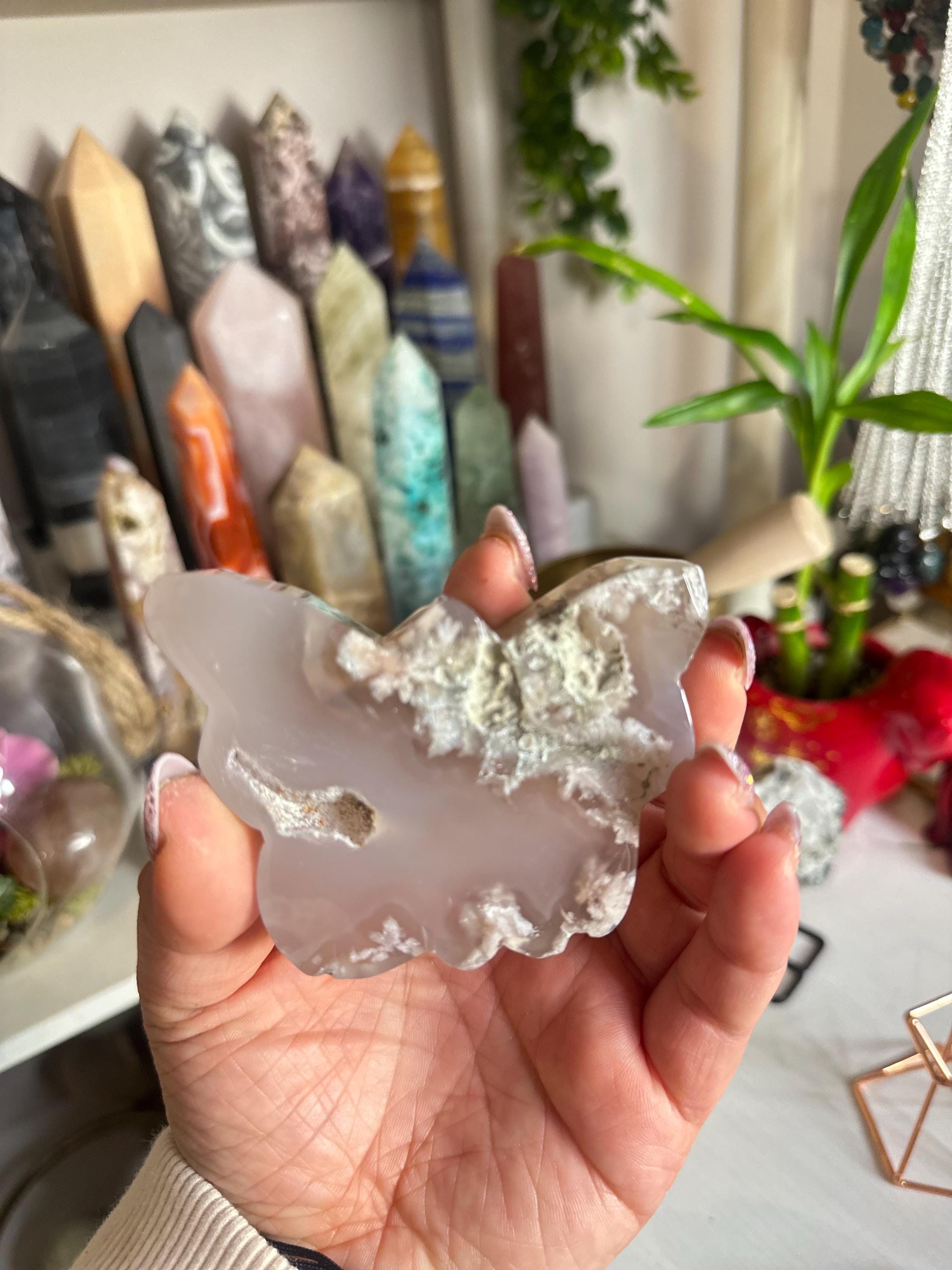Crystal + Rocks | Polished | Flower Agate Butterfly | 3inch