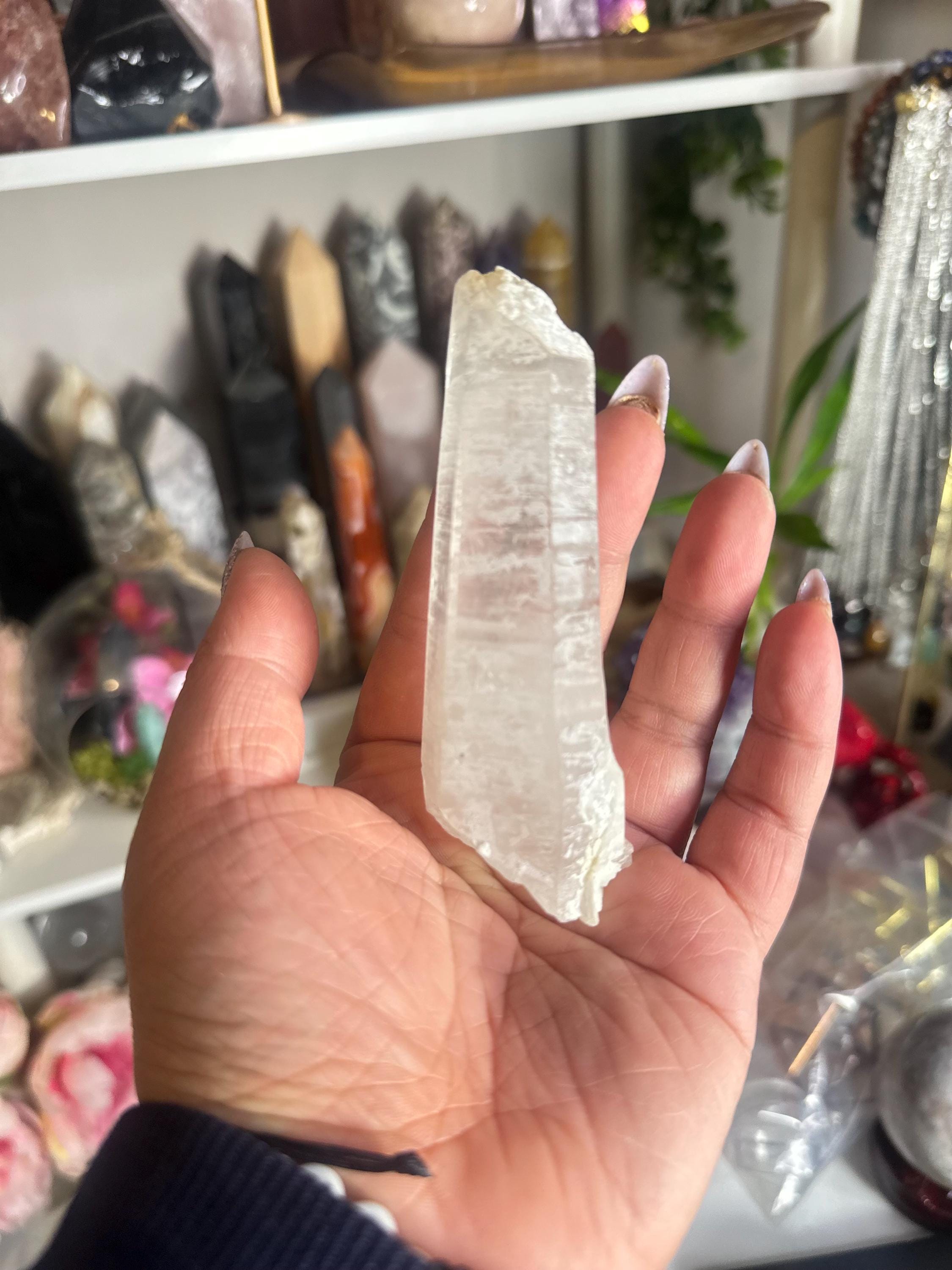 Crystal + Rocks | Choose Your Favorite | Rare Quartz Variety Bowl | Phantom, Garden, Lithium,Lemurian & More