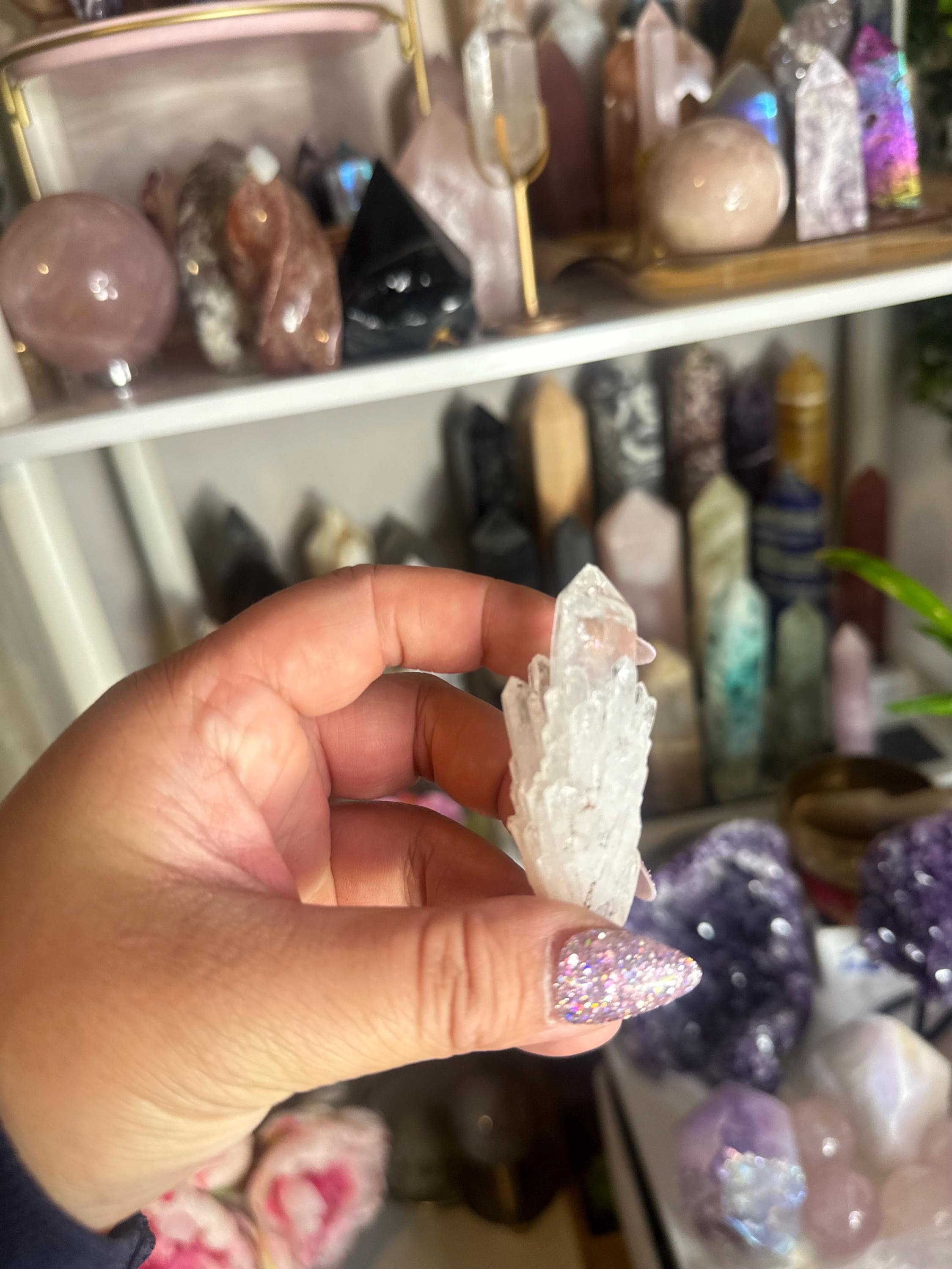 Crystal + Rocks | Choose Your Favorite | Rare Quartz Variety Bowl | Phantom, Garden, Lithium,Lemurian & More