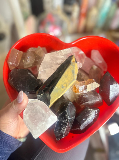 Crystal + Rocks | Choose Your Favorite | Rare Quartz Variety Bowl | Phantom, Garden, Lithium,Lemurian & More