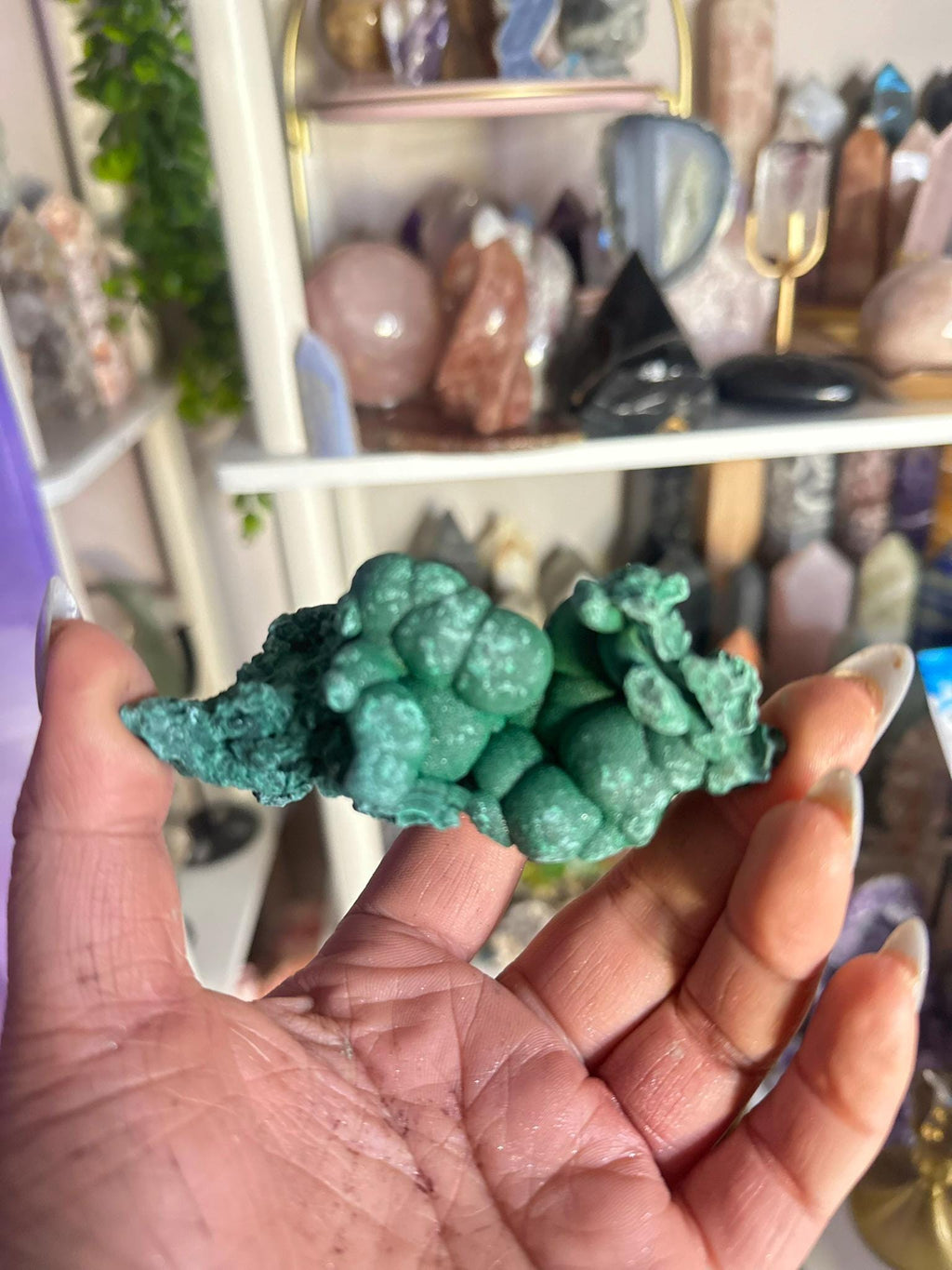 Crystal, Minerals + Rocks | Choose Your Favorite | High Quality Fibrous Velvet Malachite Clusters | 2- 4in