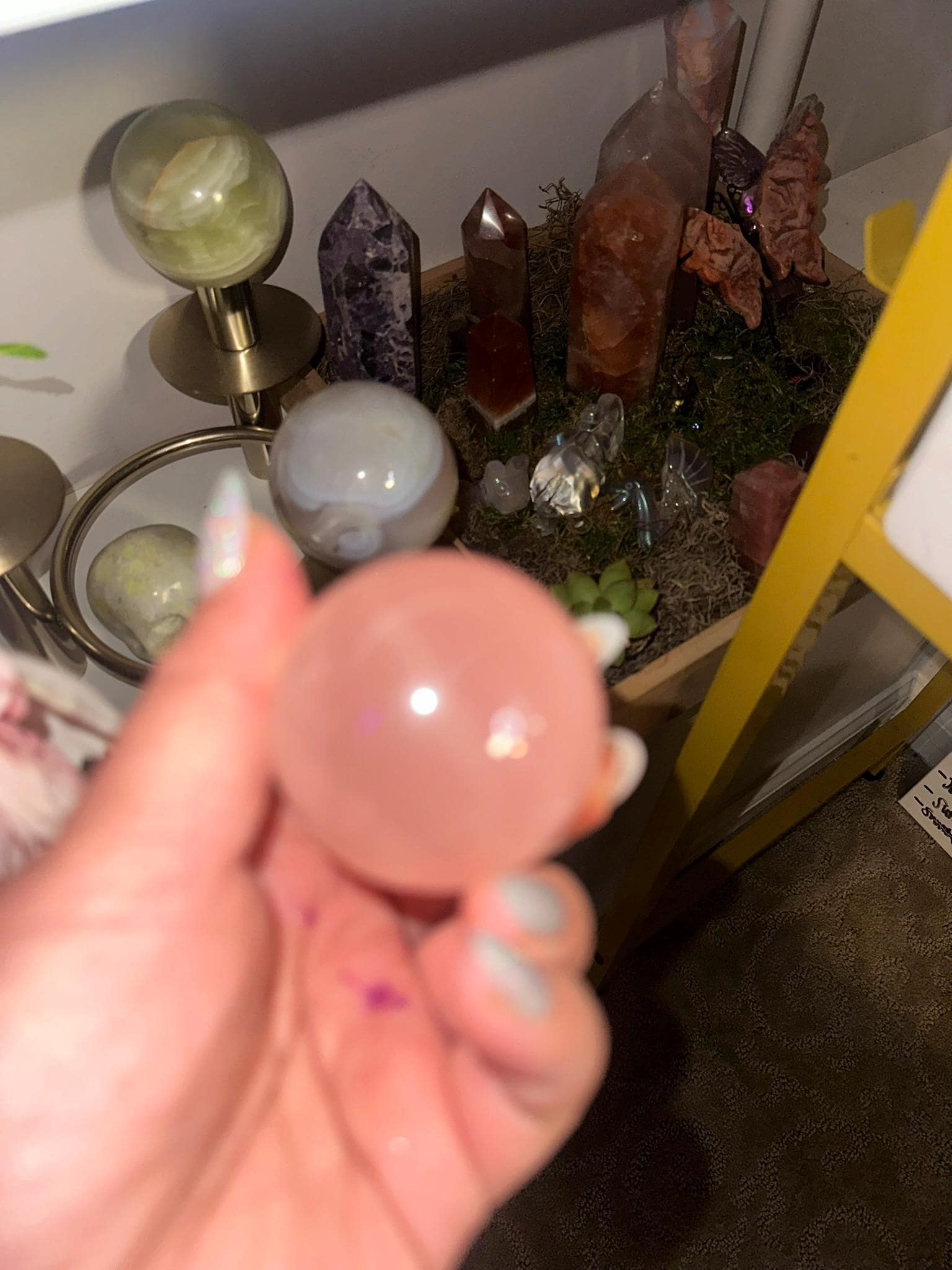 Crystal, Minerals + Rocks | Intuitive Pick | Super Juicy + Gemmy High Quality 6 STAR ASTERISM Rose Quartz Sphere | 2.5in