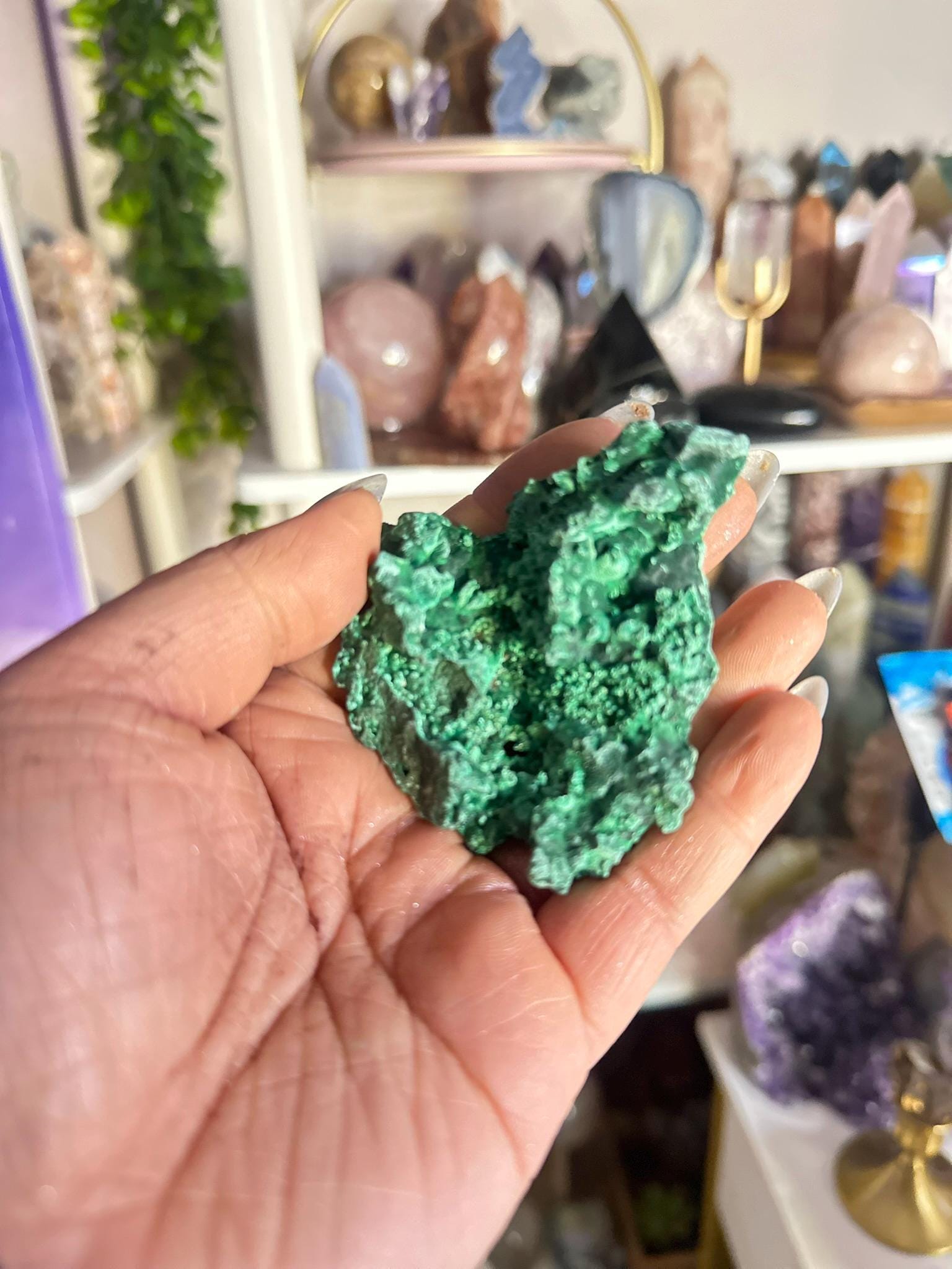 Crystal, Minerals + Rocks | Choose Your Favorite | High Quality Fibrous Velvet Malachite Clusters | 2- 4in